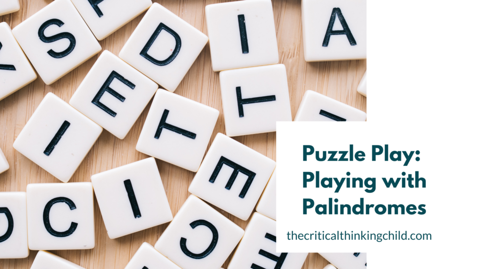 Puzzle Play Playing with Palindromes The Critical Thinking Child